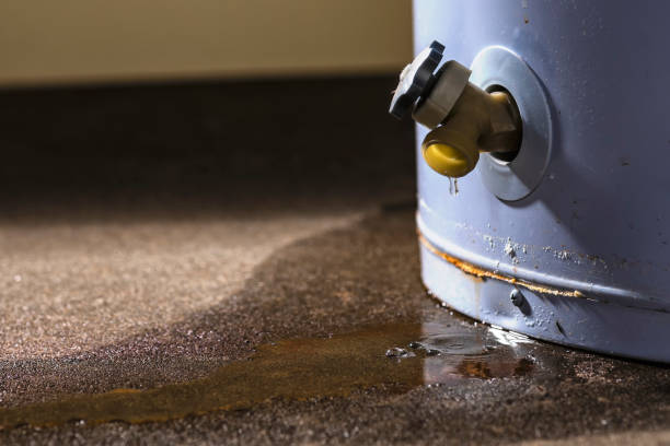 Best Water damage cleanup near me  in Independence, VA