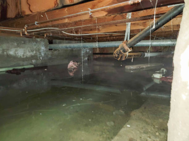 Best Water damage restoration cost  in Independence, VA