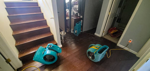 Best Water damage restoration near me  in Independence, VA