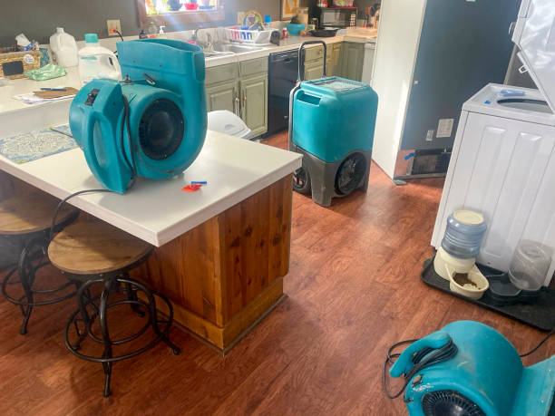 Best Ceiling water damage repair  in Independence, VA