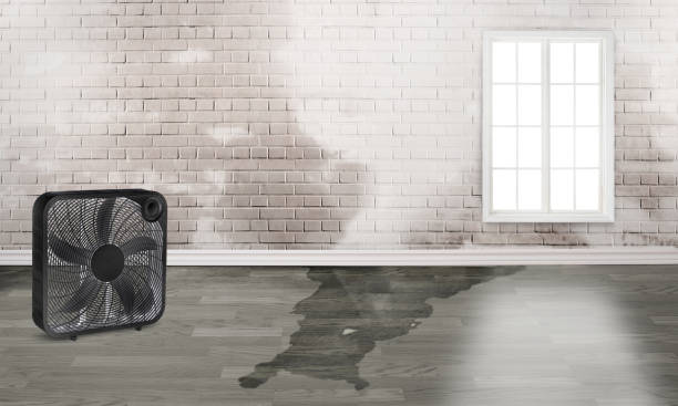 Best 24-hour water damage restoration  in Independence, VA
