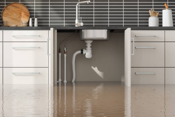 Best Flood damage cleanup  in Independence, VA