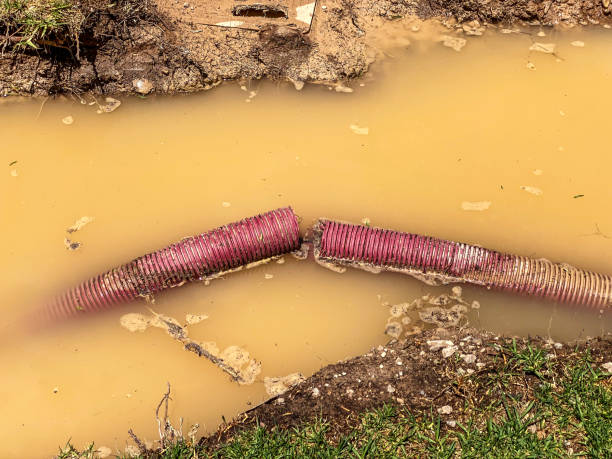  Independence, VA Water damage restoration Pros