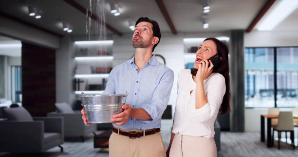 Best Professional water damage repair  in Independence, VA