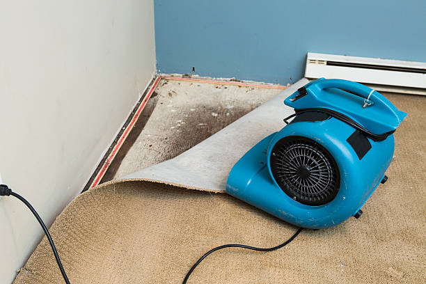 Best Basement water damage restoration  in Independence, VA
